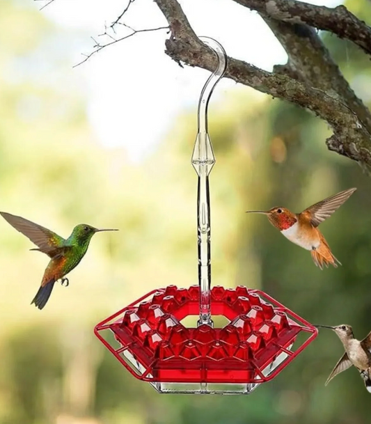 Ant Proof Outdoor Hanging Hummingbird Feede